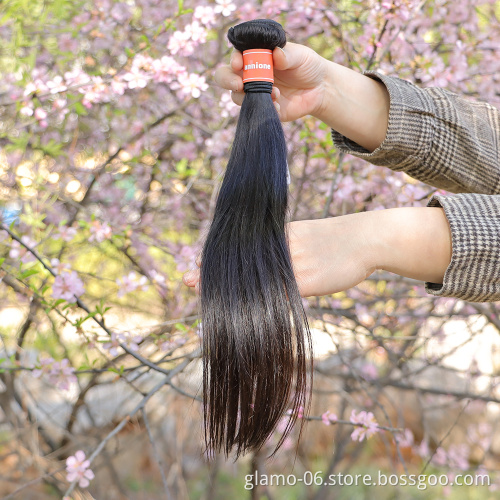 Raw Vietnamese Burmese Hair Unprocessed Virgin Natural Straight & Wavy Hair Vendors, Vietnamese Cuticle Aligned Raw Human Hair